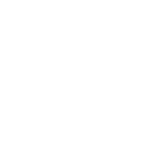 Burton Snowboard